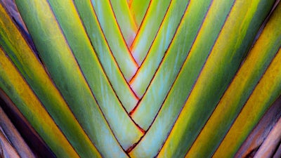 Robin & Michael Mastro on The Way of Vastu