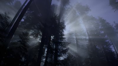 Bendición franciscana: Recibiendo la gracia con el Padre Maximilian Mizzi