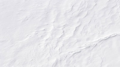 Nick Bunick & Barbara DeAngelis