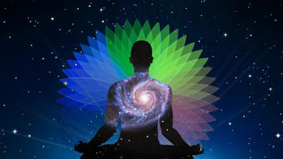 Conscious: Fulfilling Our Higher Evolutionary Potential