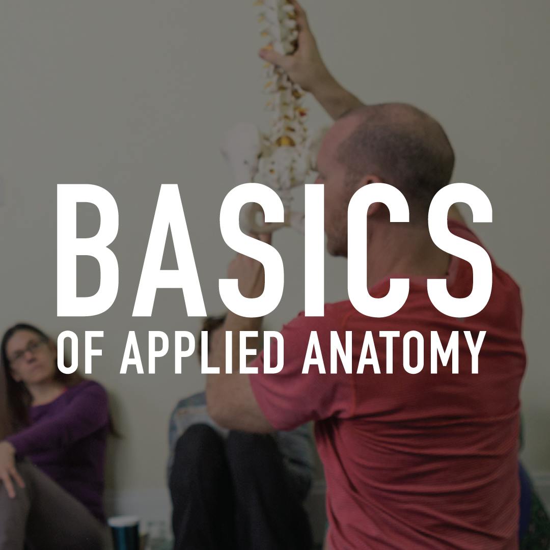 Basics of Applied Anatomy