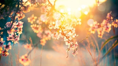 Relajación profunda para un descanso total