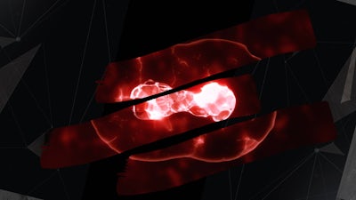 Morphic Fields and the Brain with Rupert Sheldrake