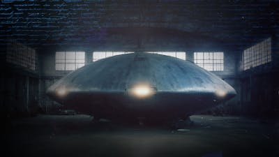 Testimonios de denunciantes: FANI de fabricación humana