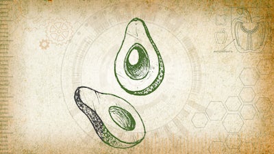 Nutrition : Faites le plein d'énergie pour une vie meilleure