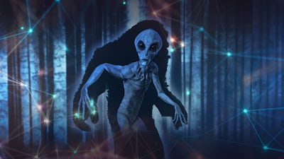 Tracking Signs of Sasquatch