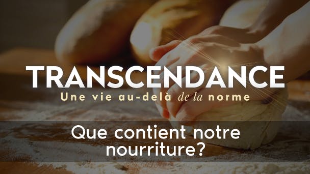 Que contient notre nourriture ? 