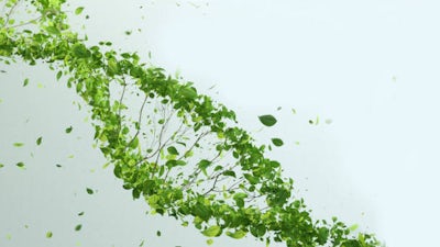 Médecine, le grand tournant