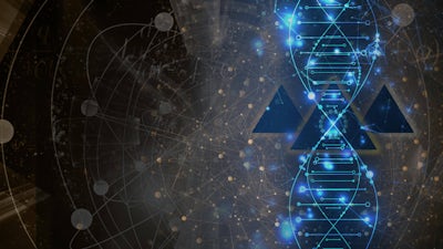 Evidence We Were Never Alone