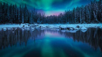 Soothing Solace