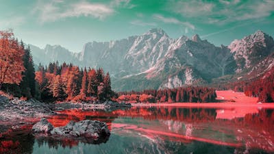 Messengers of Life - Talk