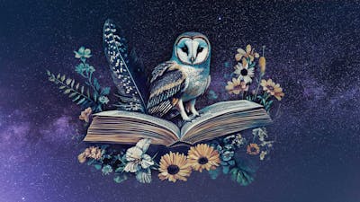 Sesión 11: Preguntas y Respuestas III