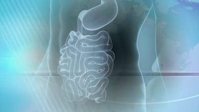 Gut Health & Mental Health