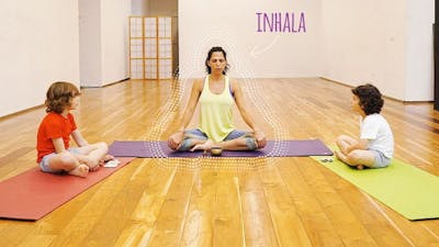 Meditación de las piedras y las emociones