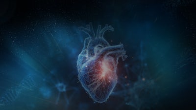 Sesión 1: La resiliencia del corazón