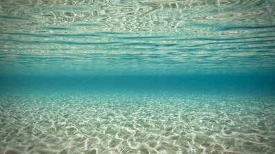 Healing with Drama (John Maxwell Taylor)