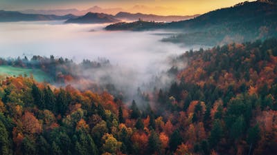 Inner Peace - Meditation 