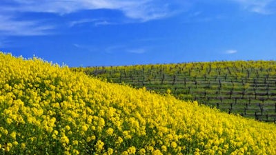 Suivez votre passion