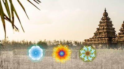 Ayurveda, le chemin de la vie 