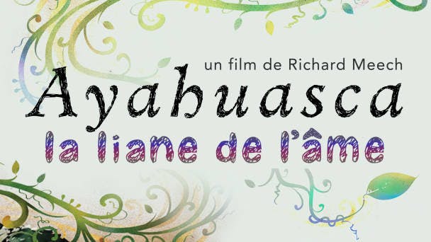 Ayahuasca : la liane de l'âme
