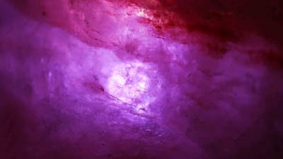 The Heart-Mind Field of Consciousness