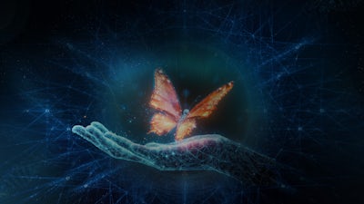 Session 6: Adaptation and Evolution