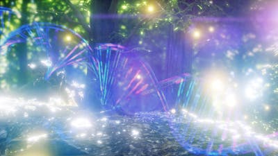¿Puede la ayahuasca cambiar el ADN? Parte 2