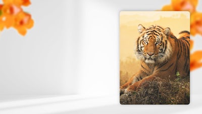 Den Hass verstehen und heilen