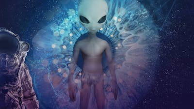 New Perspectives on The Greys