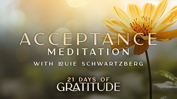 Acceptance - Meditation 