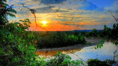 Antiker Schatz des Amazonas