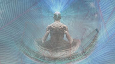 The MindBody Self with Mario Martinez