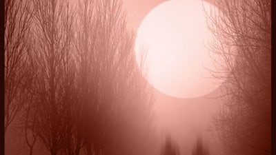 Halloween Spooktacular