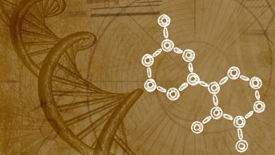 Le contrôle de l'expression génétique