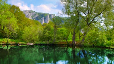 Harmony and Humor with Qigong (Walter Hayley)