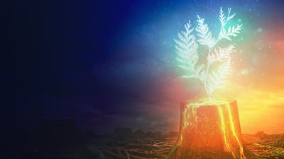 Améliorez votre mémoire des rêves