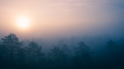 Release the Day: Audio Meditation