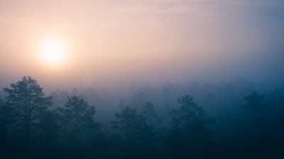 Release the Day: Audio Meditation