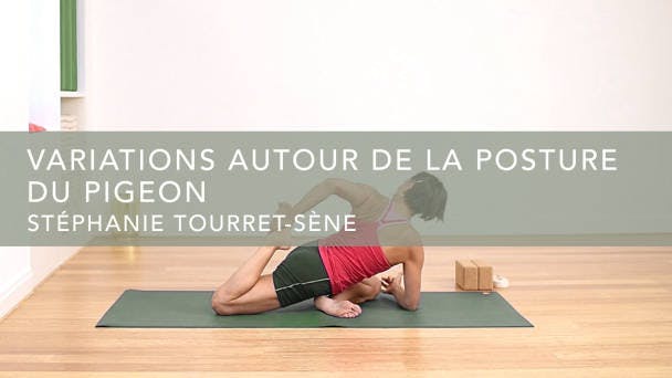 Variations autour de la posture du pigeon