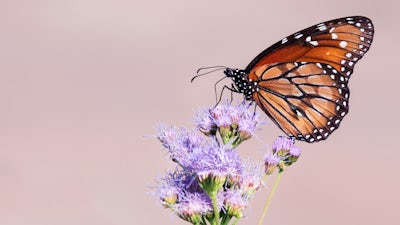 Ankommen in der Gegenwart