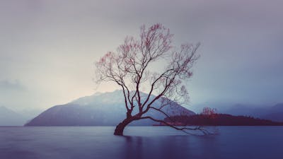 Unlocking Past Traumas