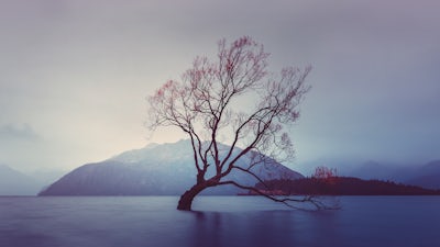 Unlocking Past Traumas