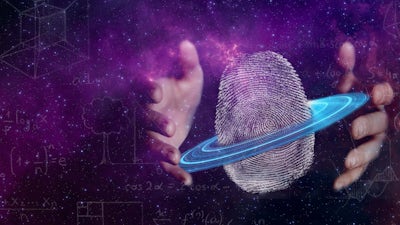 Die Einheit von Herz, Gehirn und Darm