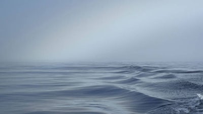 Calma en la tormenta