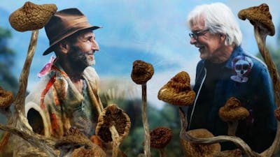 En descendant la montagne