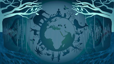 Les harmonies de la nature