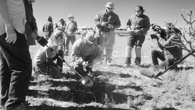 Cosmic Whistleblowers