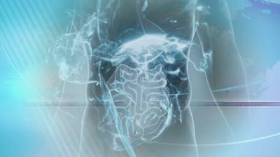 Using Fasting to Fight Cancer