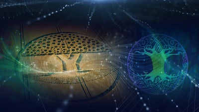 Agrogramas Abiertos a la Interpretación