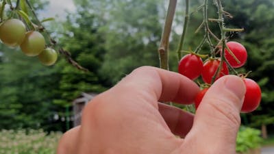 Growing Resilience
